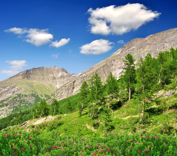 Долина Саасталь в швейцарских Альпах — стоковое фото