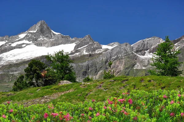 Zinalrothorn - Zwitserse Alpen — Stockfoto