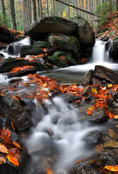 Herbstbach — Stockfoto