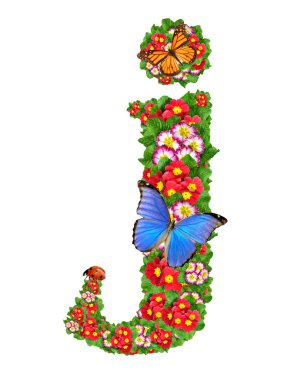 Kelebek ve uğur böceği primrose alfabesi