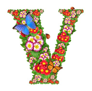 Alphabet of primrose with butterfly and ladybug clipart