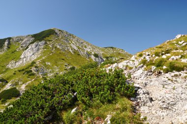 Julian alps, Slovenya