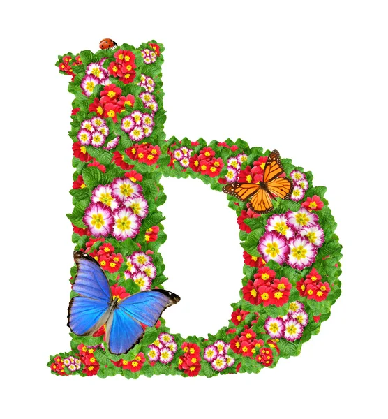 Alfabetet av primrose med fjäril och nyckelpiga — Stockfoto