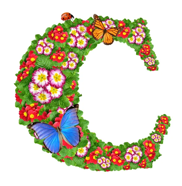 Alfabeto de prímula com borboleta e joaninha — Fotografia de Stock