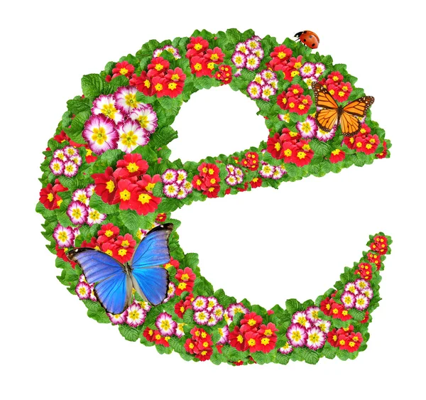Alfabeto de prímula com borboleta e joaninha — Fotografia de Stock