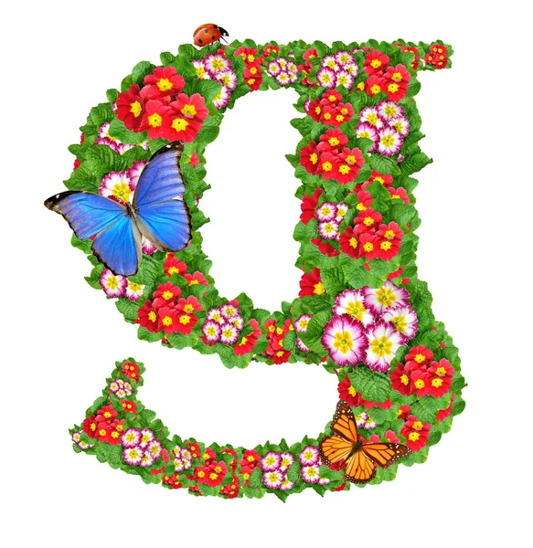 stock image Alphabet of primrose with butterfly and ladybug