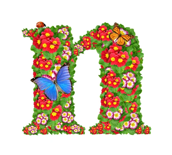 Stock image Alphabet of primrose with butterfly and ladybug