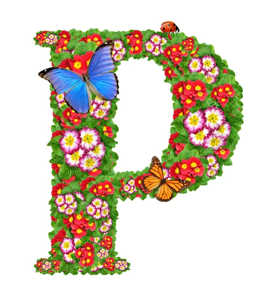 Alfabetet av primrose med fjäril och nyckelpiga — Stockfoto