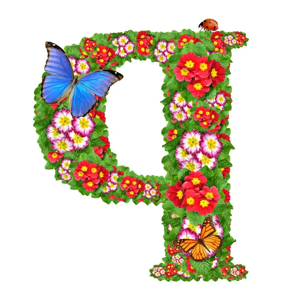 프림 로즈 나비와 무당벌레의 알파벳 — 스톡 사진
