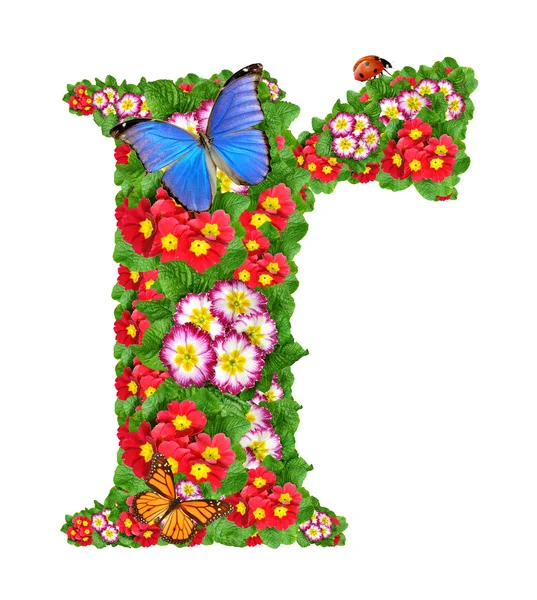 Алфавіт первоцвіту з метеликом і сонечком — стокове фото