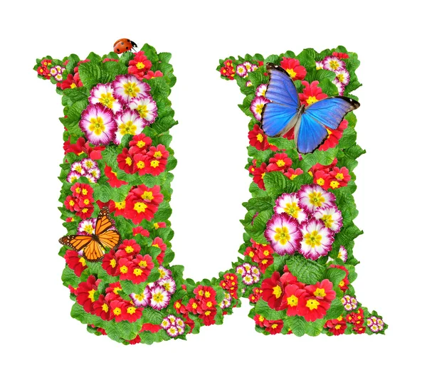 Alfabeto di primula con farfalla e coccinella — Foto Stock
