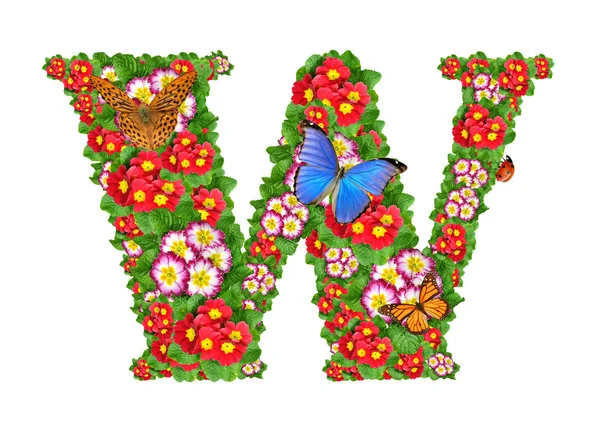 Alfabeto di primula con farfalla e coccinella — Foto Stock