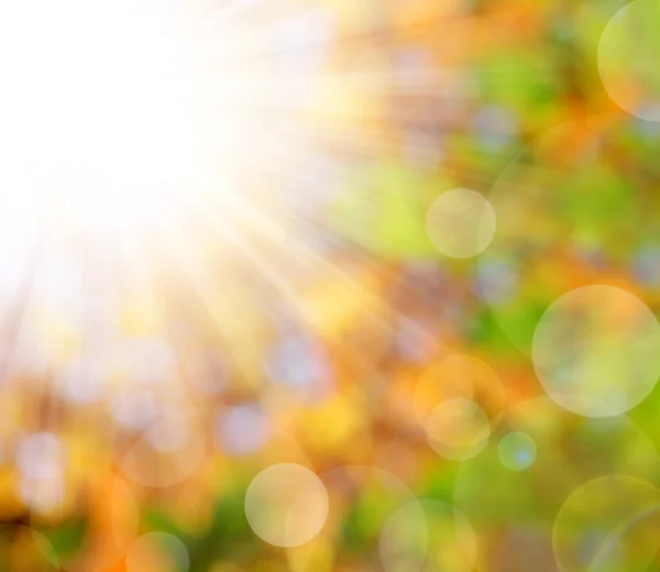 Autumnal natural background blurring — Stock Photo, Image