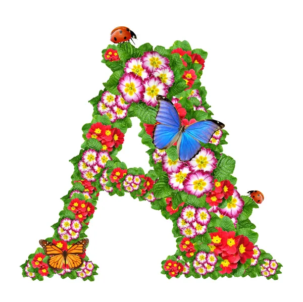 프림 로즈 나비와 무당벌레의 알파벳 — 스톡 사진