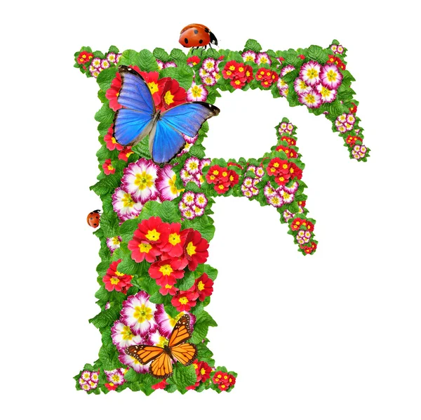 Алфавит первоцвета с бабочкой и божьей коровкой — стоковое фото