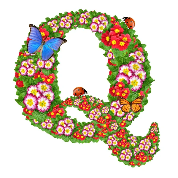 Алфавит первоцвета с бабочкой и божьей коровкой — стоковое фото