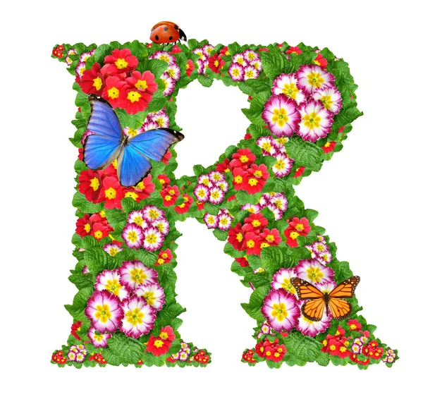 Alfabet van primrose met ' butterfly ' and lieveheersbeestje — Stockfoto