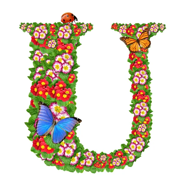 Alphabet of primrose with butterfly and ladybug — Stock Photo, Image