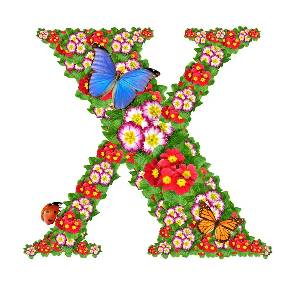 stock image Alphabet of primrose with butterfly and ladybug