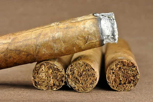 Cigar burned — Stock Photo, Image