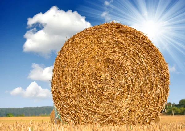大きい丸い藁の俵 — ストック写真