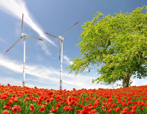 Turbin wiatrowych i czerwony Mak — Zdjęcie stockowe