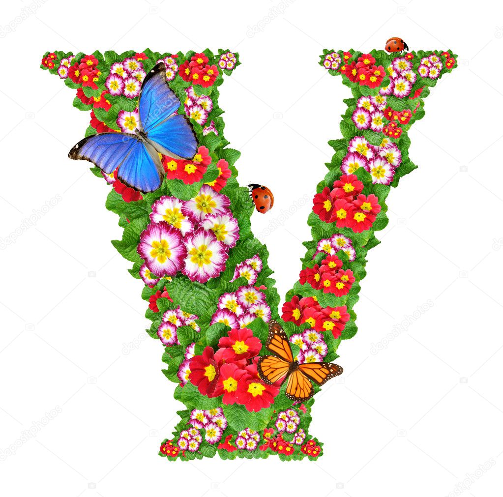 Alphabet of primrose with butterfly and ladybug