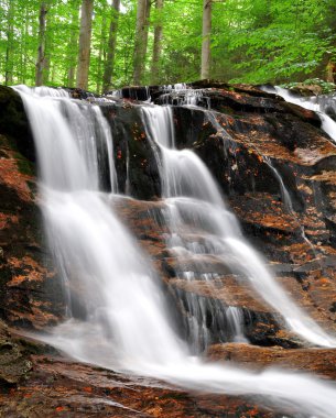 Waterfalls in the Bavarian Forest clipart