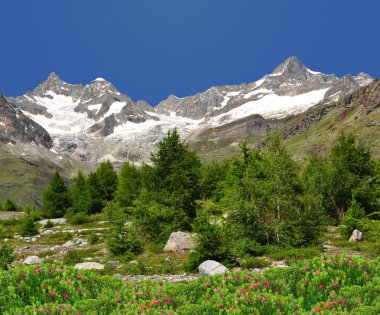 Ober gabelhorn - İsviçre Alpleri