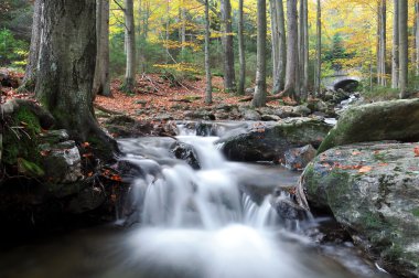 sonbahar creek