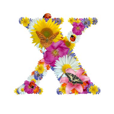 alfabenin den çiçeklerle kelebekler ve uğur böceği