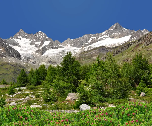 Ober gabelhorn - Švýcarské Alpy — Stock fotografie