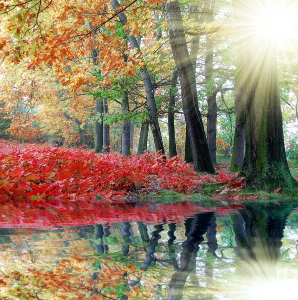 stock image Autumn landscape