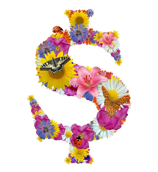 Dollar-Symbol aus Blumen — Stockfoto