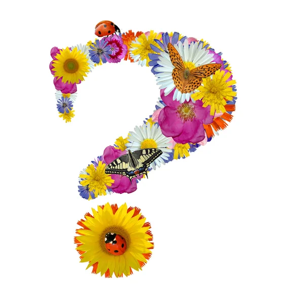 Question mark from flowers with butterflies and ladybug — Stock Photo, Image