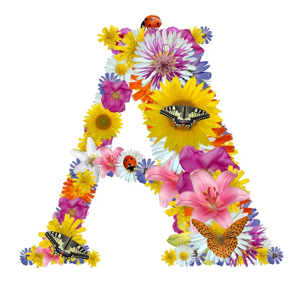 Alfabenin den çiçeklerle kelebekler ve uğur böceği — Stok fotoğraf
