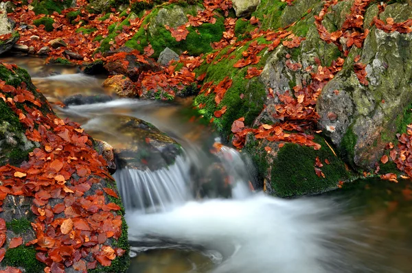 秋の川 — ストック写真