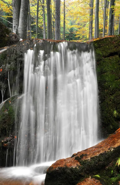 ババリア地方の森林で美しい滝 — ストック写真