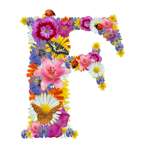 Alfabet van bloemen met vlinders en lieveheersbeestje — Stockfoto