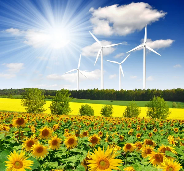 Vindkraftverk med solros fält — Stockfoto