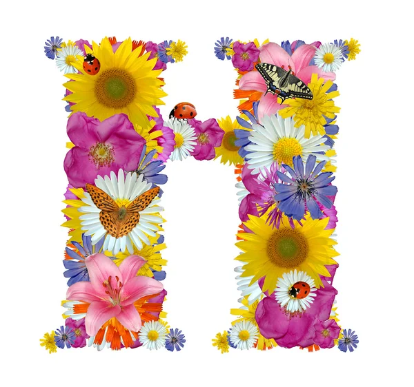 Алфавит из цветов с бабочками и божьей коровкой — стоковое фото