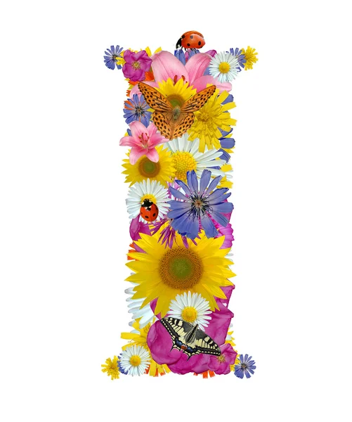 Alfabeto de flores con mariposas y mariquitas — Foto de Stock