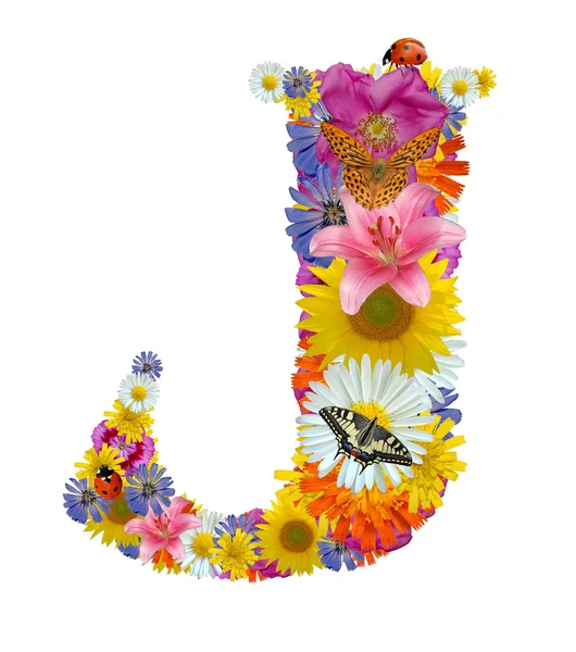 Alphabet from flowers with butterflies and ladybug — Stock Photo, Image