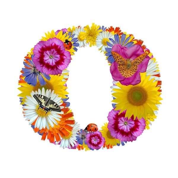 Алфавит из цветов с бабочками и божьей коровкой — стоковое фото