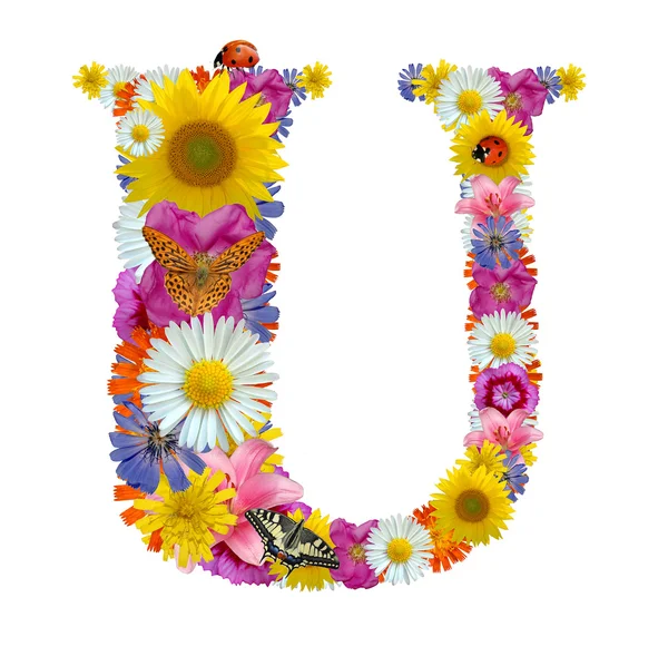 stock image Alphabet from flowers with butterflies and ladybug