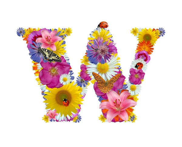 Alfabeto de flores com borboletas e joaninha — Fotografia de Stock