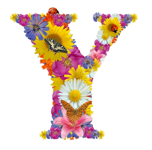 Alfabet z kwiaty motyle i biedronki — Zdjęcie stockowe
