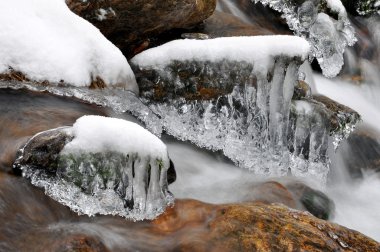 Winter creek in the national park Sumava clipart