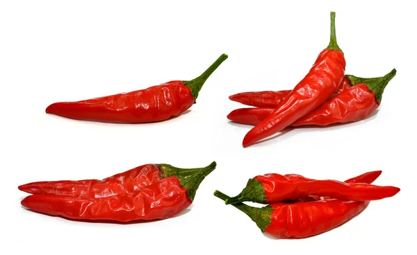 Czerwona papryka chilli — Zdjęcie stockowe