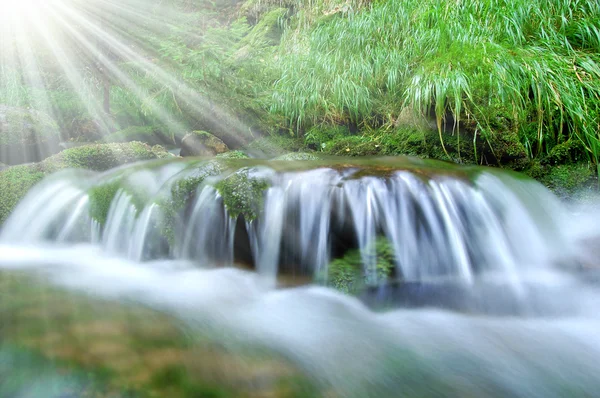 Cachoeira no parque nacional Sumava — Fotografia de Stock